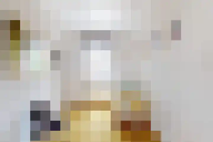 Holleweg 22 Schinnen thumbnail 54