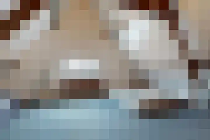 Holleweg 22 Schinnen thumbnail 65