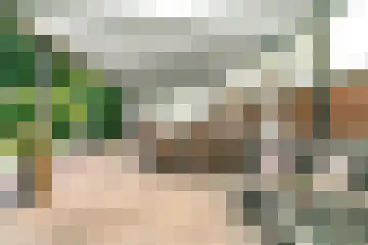 Holleweg 22 Schinnen thumbnail 71