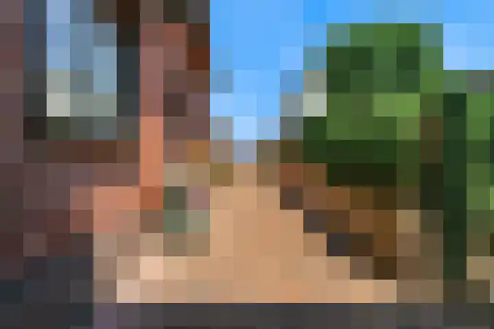 Holleweg 22 Schinnen thumbnail 75