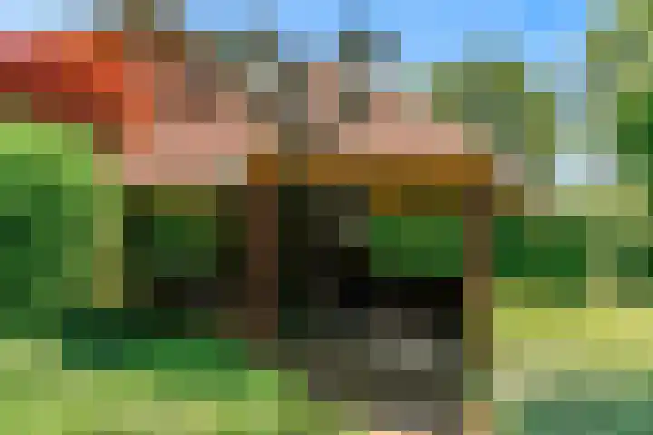 Holleweg 22 Schinnen thumbnail 78