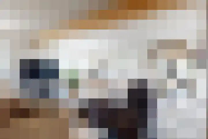 Holleweg 22 Schinnen thumbnail 8