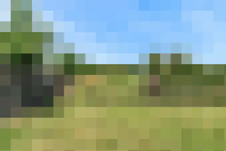 Holleweg 22 Schinnen thumbnail 84
