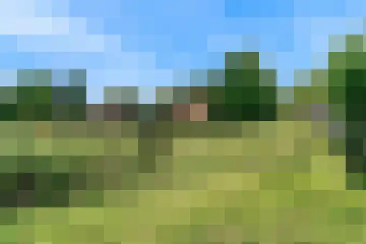 Holleweg 22 Schinnen thumbnail 86