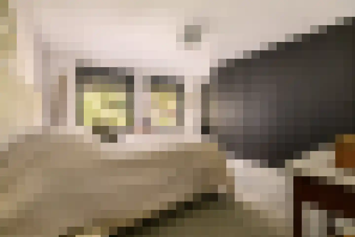 Holleweg 3 Hilversum thumbnail 17