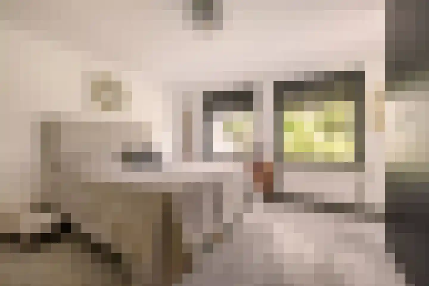 Holleweg 3 Hilversum thumbnail 18