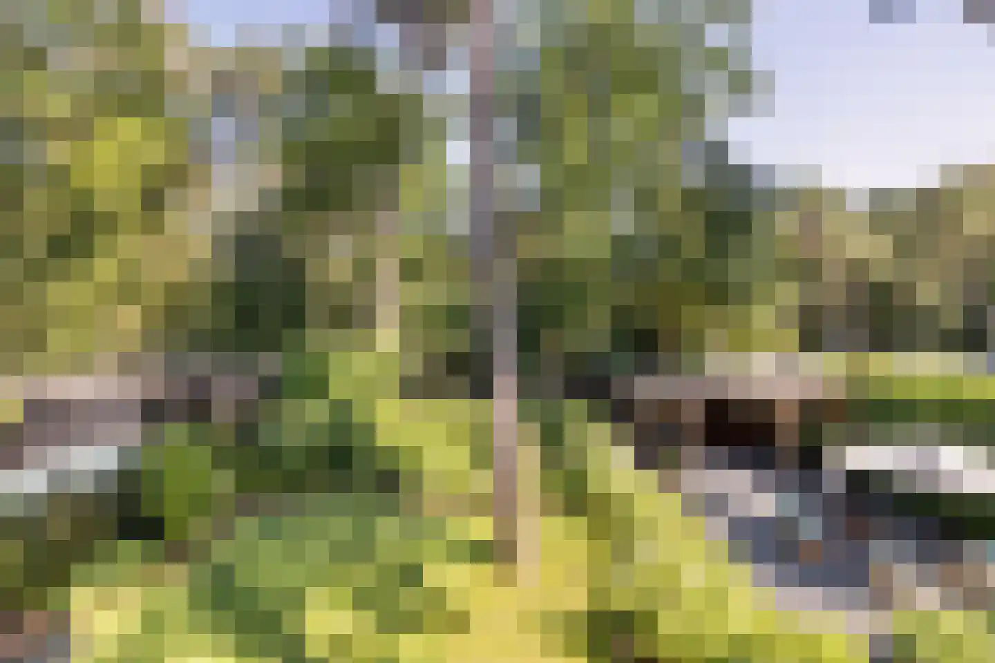 Holleweg 3 Hilversum thumbnail 32