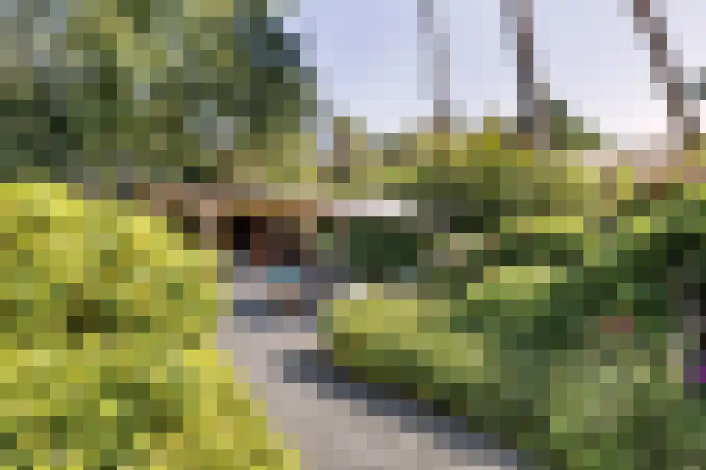 Holleweg 3 Hilversum thumbnail 33
