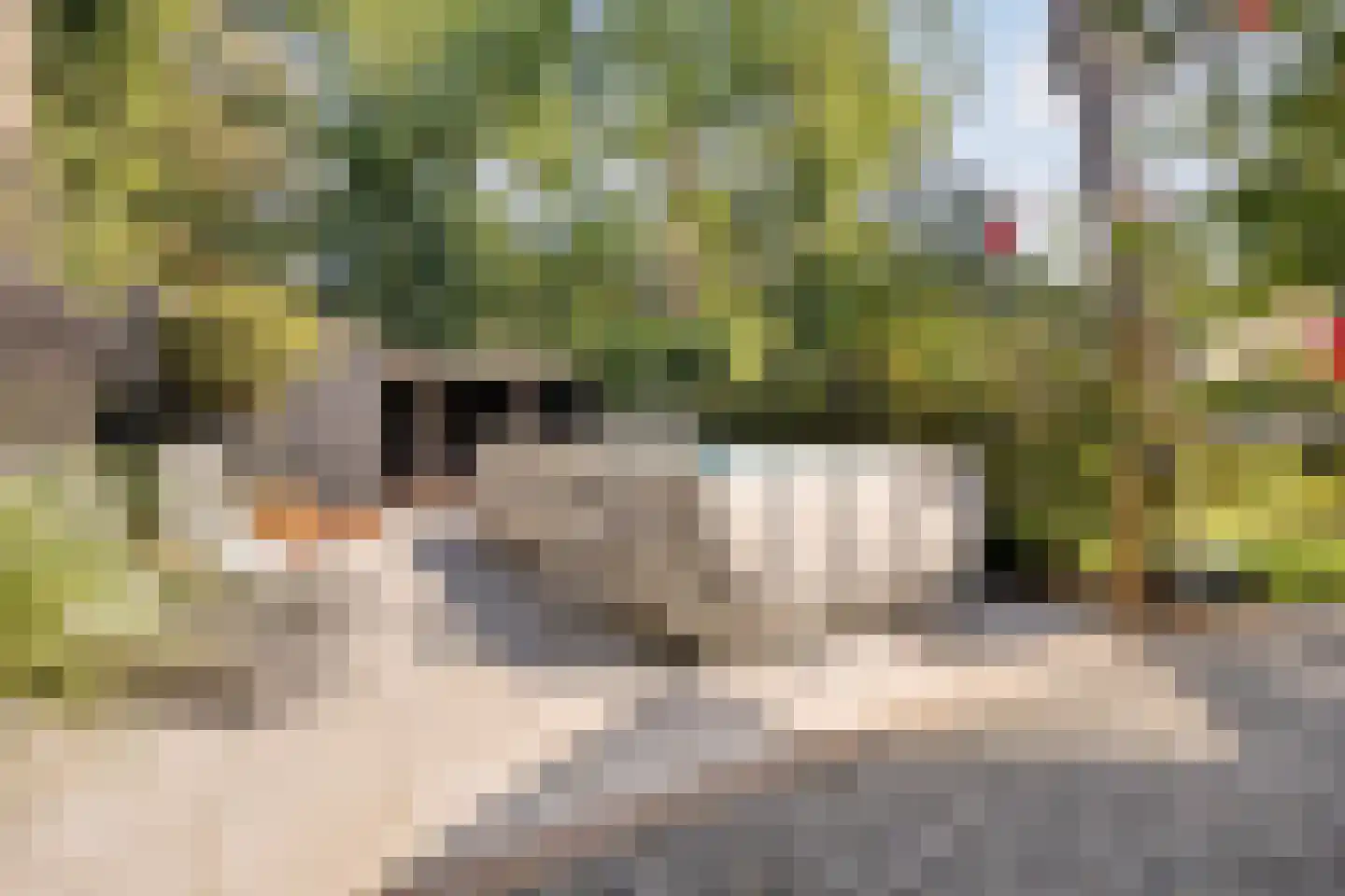 Holleweg 3 Hilversum thumbnail 38