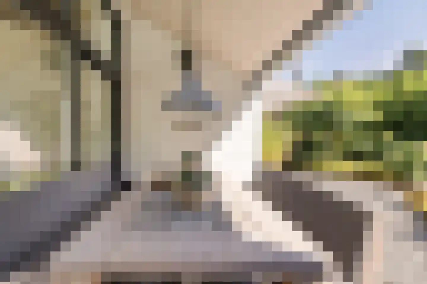 Holleweg 3 Hilversum thumbnail 43
