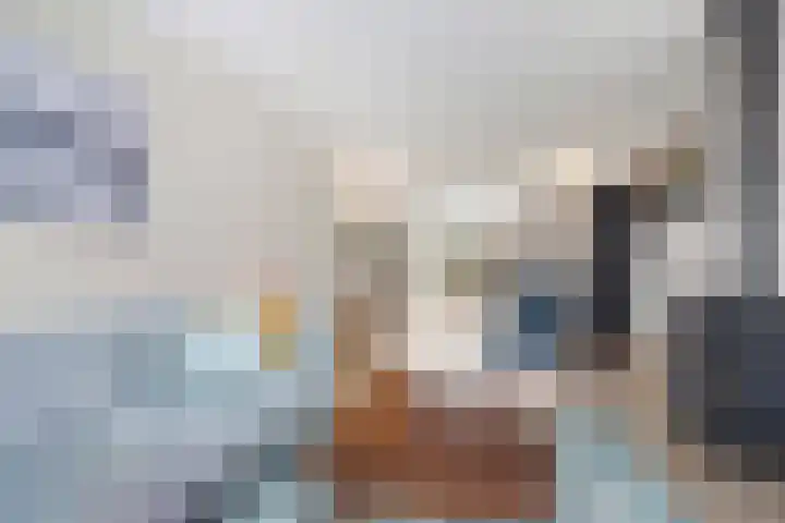 Holleweg 36 Hooglanderveen thumbnail 10