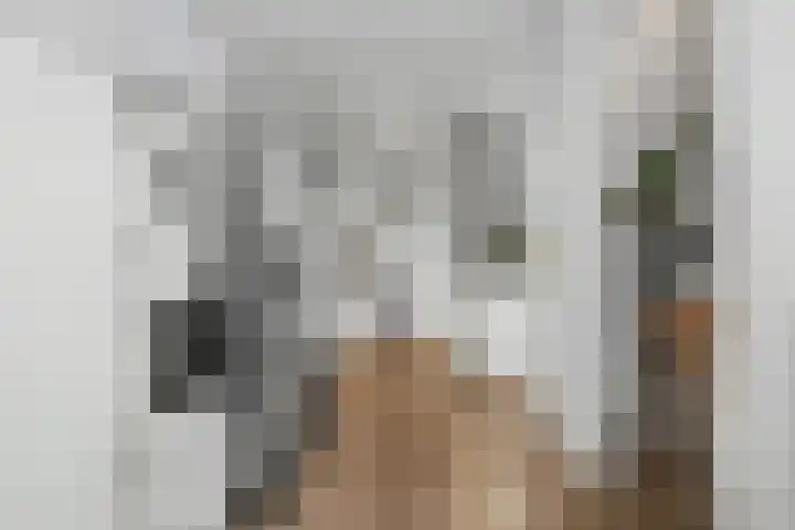 Holleweg 36 Hooglanderveen thumbnail 11