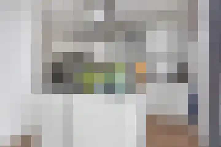 Holleweg 36 Hooglanderveen thumbnail 18