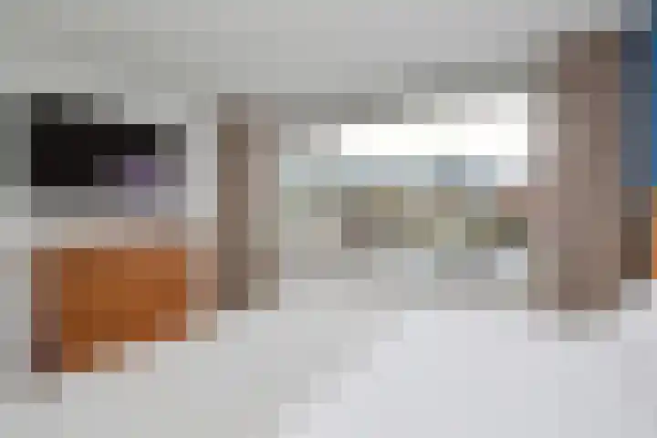 Holleweg 36 Hooglanderveen thumbnail 22
