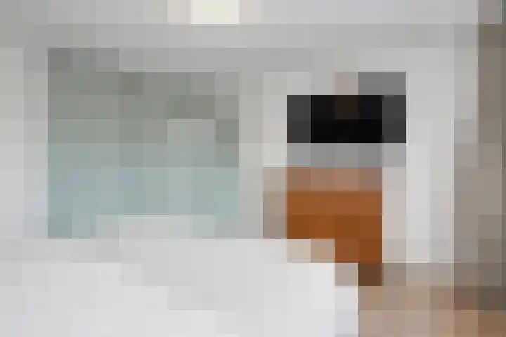 Holleweg 36 Hooglanderveen thumbnail 23