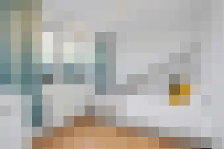 Holleweg 36 Hooglanderveen thumbnail 31
