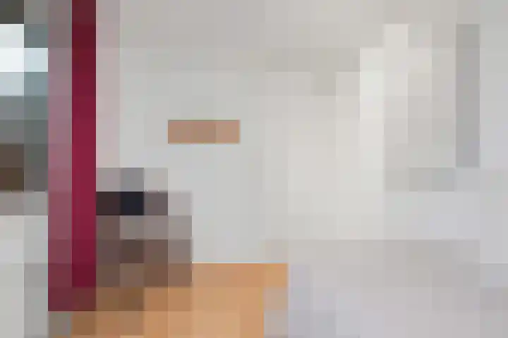 Holleweg 36 Hooglanderveen thumbnail 34