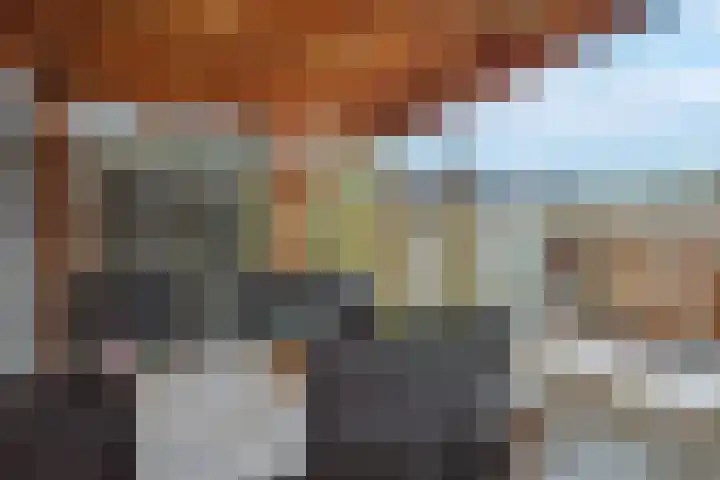 Holleweg 36 Hooglanderveen thumbnail 41