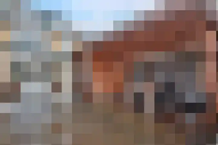 Holleweg 36 Hooglanderveen thumbnail 43