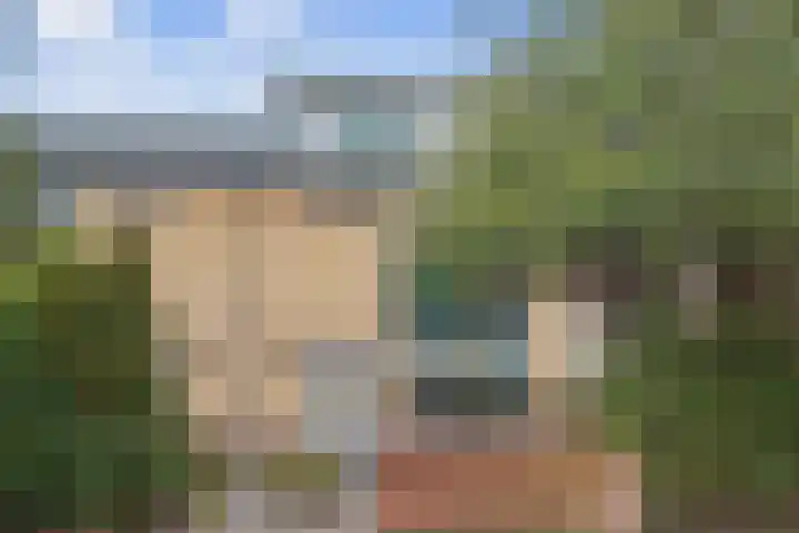 Holleweg 36 Hooglanderveen thumbnail 45