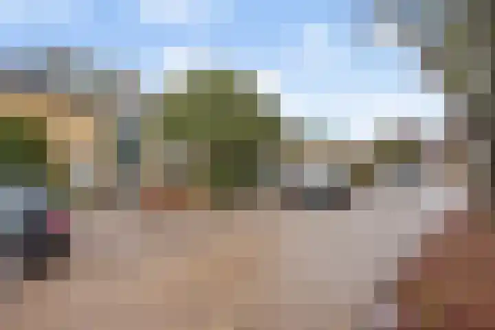 Holleweg 36 Hooglanderveen thumbnail 47