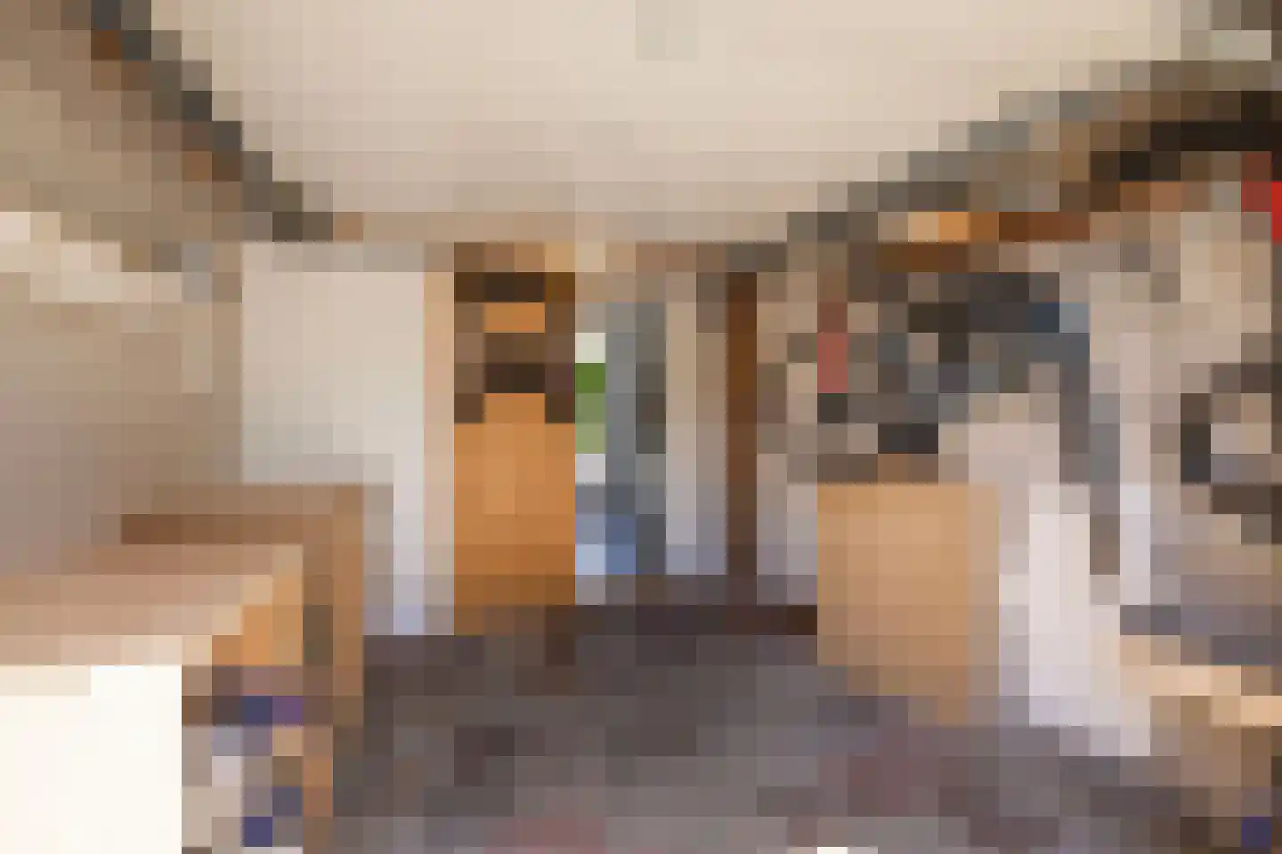 Holleweg 4 Ede thumbnail 11