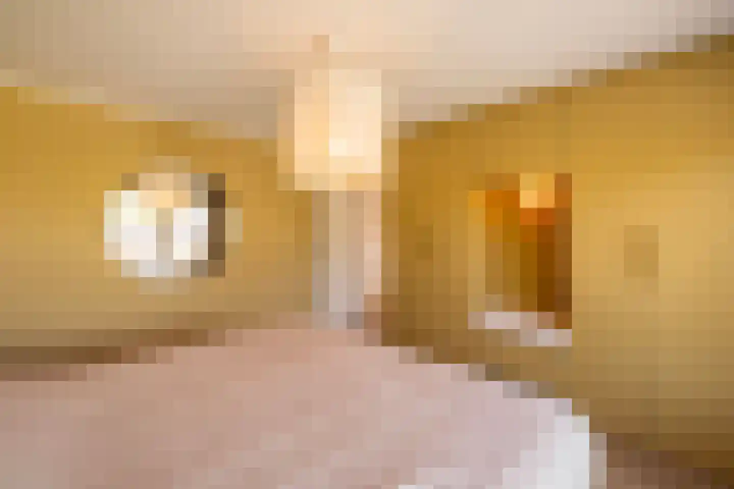 Holleweg 4 Ede thumbnail 15