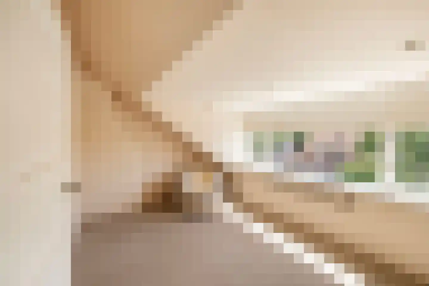 Holleweg 4 Ede thumbnail 19