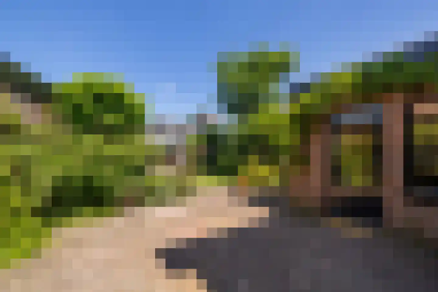 Holleweg 4 Ede thumbnail 22