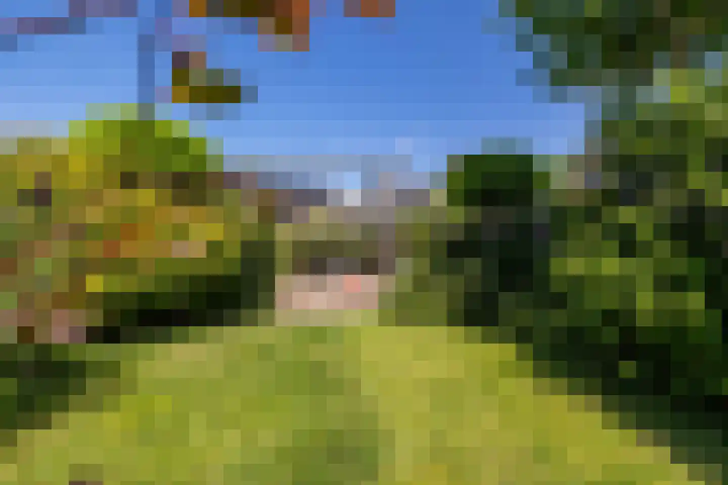 Holleweg 4 Ede thumbnail 23