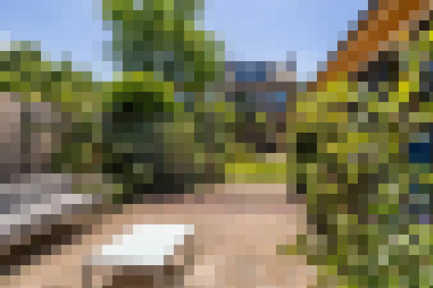 Holleweg 4 Ede thumbnail 25