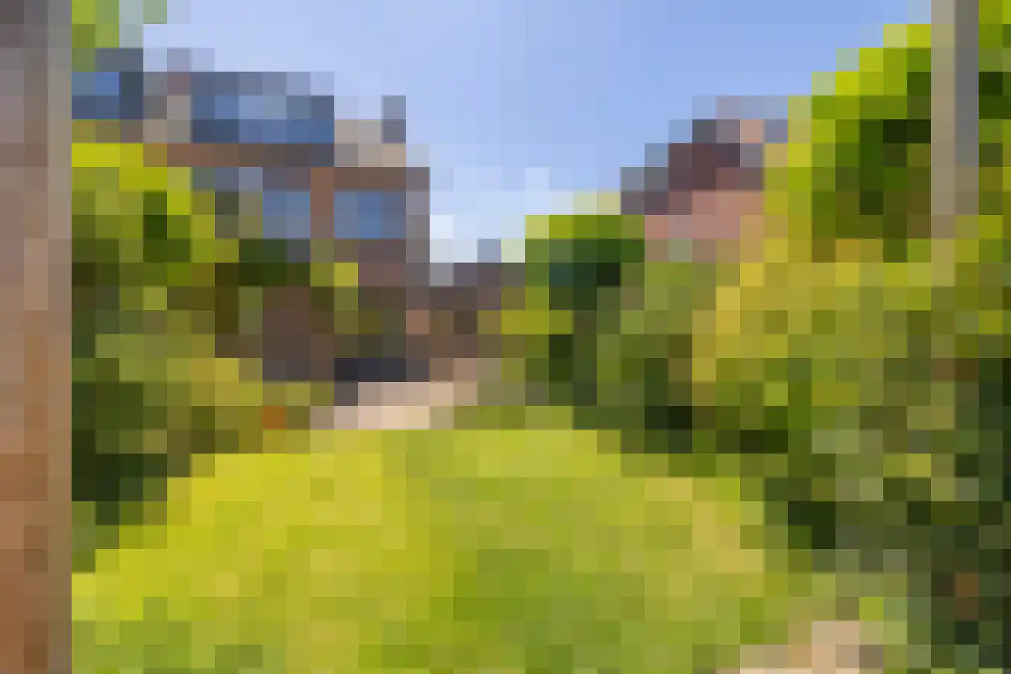Holleweg 4 Ede thumbnail 26
