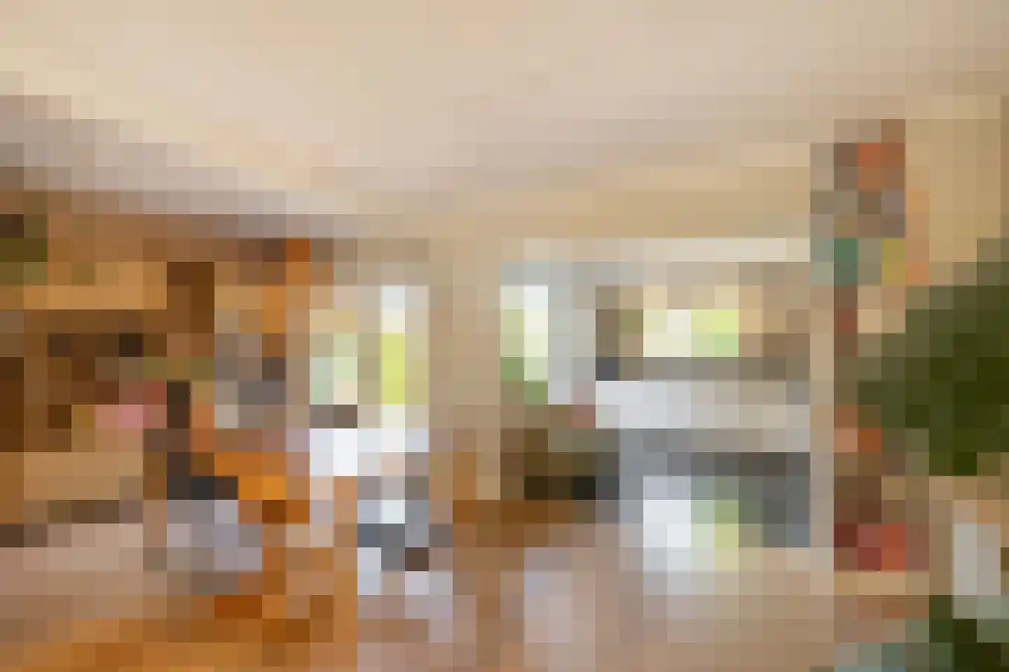 Holleweg 4 Ede thumbnail 7