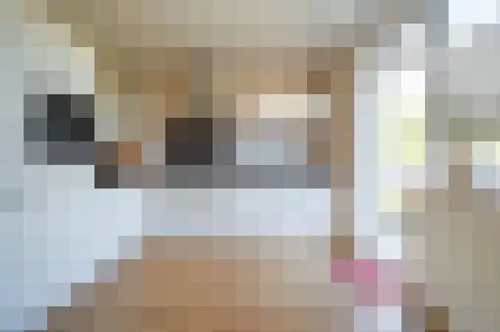 Holleweg 4 Klimmen thumbnail 11