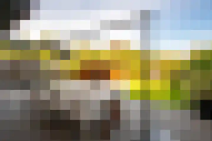 Holleweg 4 Klimmen thumbnail 26