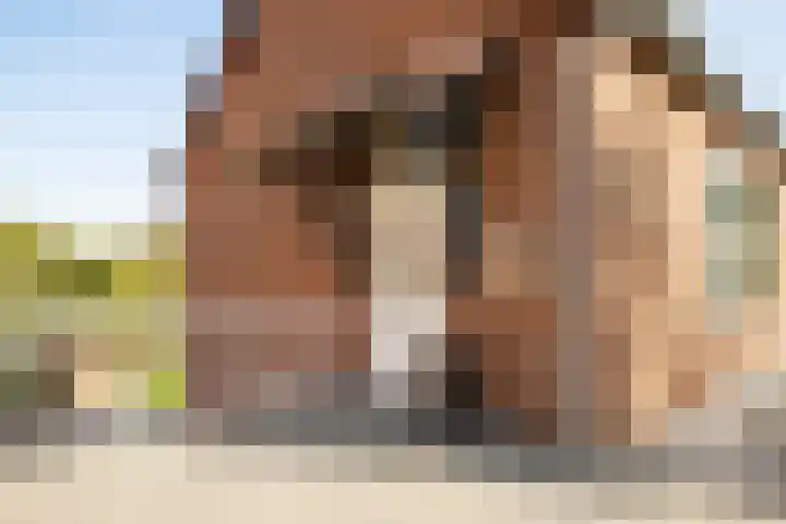 Holleweg 4 Klimmen thumbnail 5