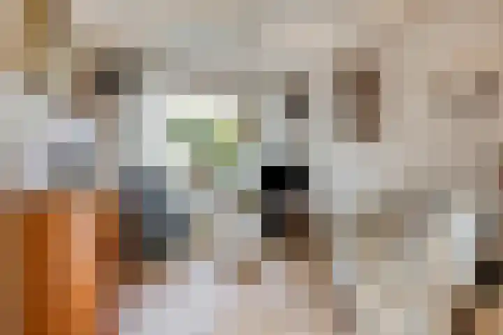 Holleweg 4 Veenendaal thumbnail 10