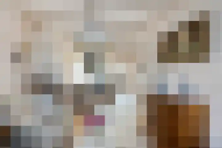 Holleweg 4 Veenendaal thumbnail 11