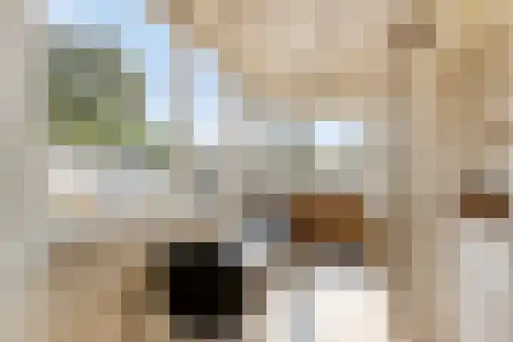 Holleweg 4 Veenendaal thumbnail 13