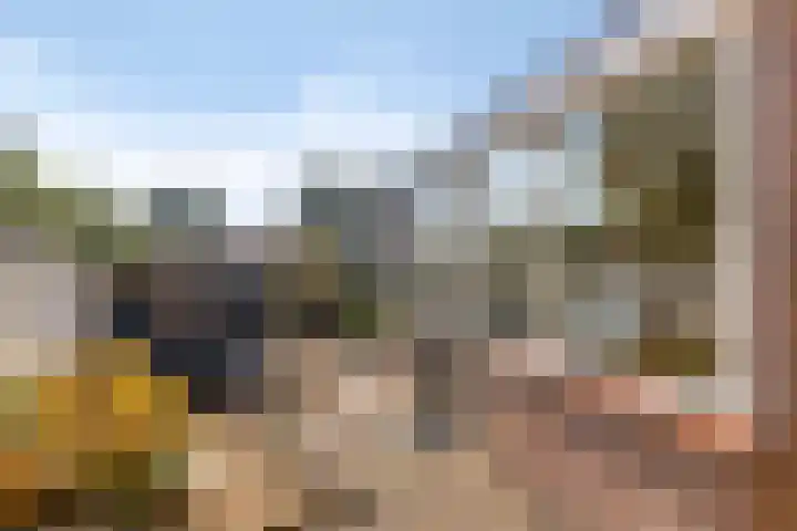 Holleweg 4 Veenendaal thumbnail 22