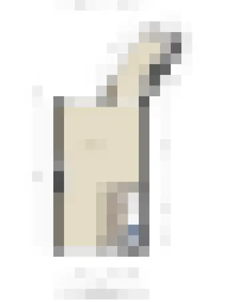 Holleweg 4 Veenendaal thumbnail 33