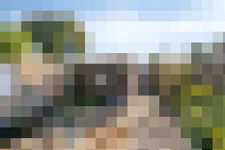 Holleweg 4 Veenendaal thumbnail 4