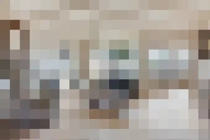 Holleweg 4 Veenendaal thumbnail 7
