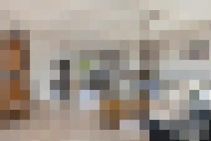Holleweg 4 Veenendaal thumbnail 9