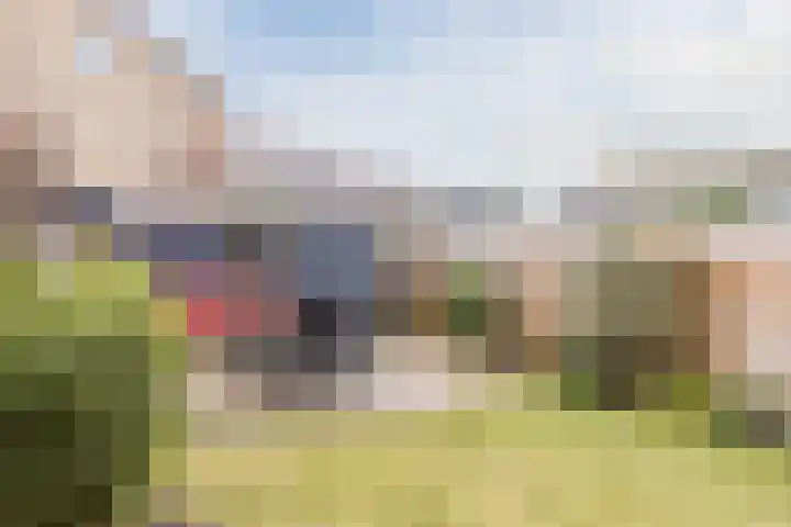 Holleweg 42 Bergen op Zoom thumbnail 26
