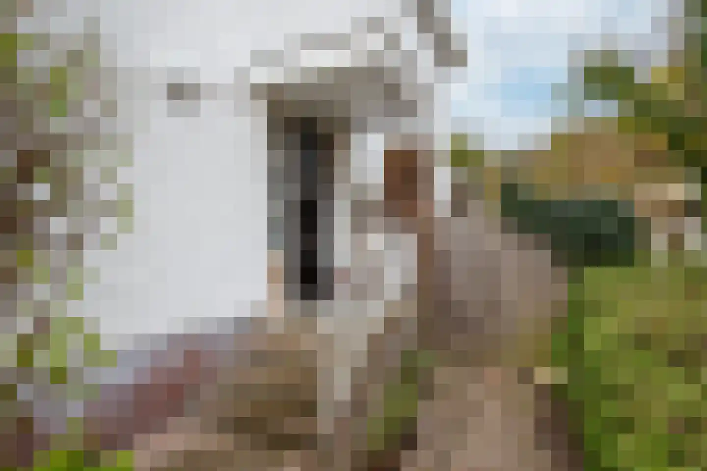 Holleweg 46 Heerlen thumbnail 21