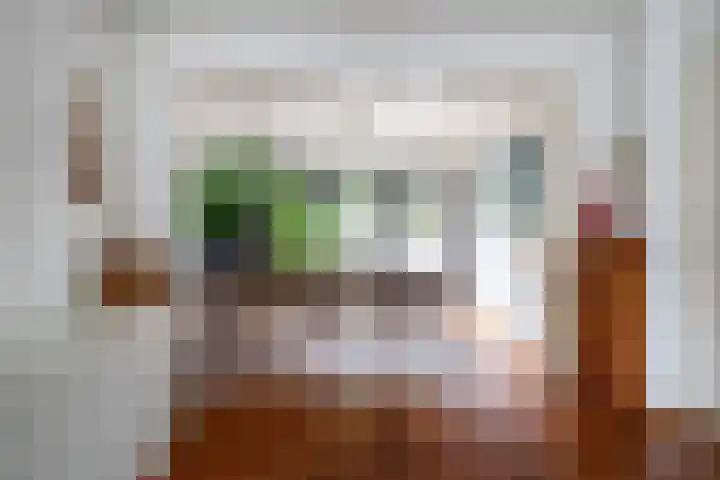 Holleweg 46 Heerlen thumbnail 7