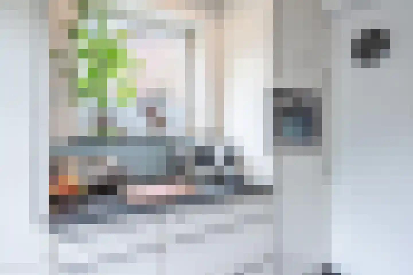 Holleweg 46 Heerlen thumbnail 9