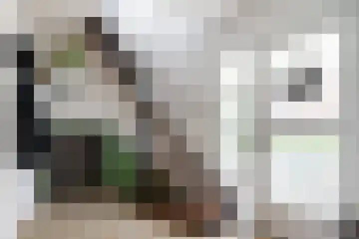 Holleweg 48 Heerlen thumbnail 5