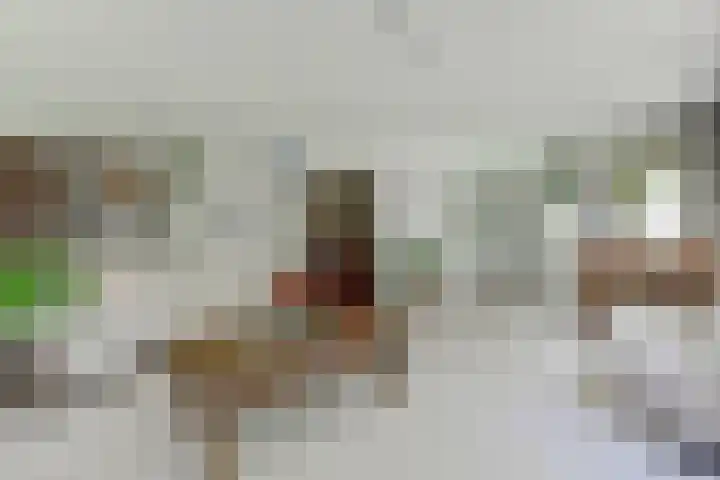 Holleweg 5 a Amerongen thumbnail 14
